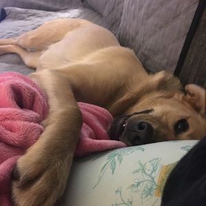 Meet your Posher, Cynthia